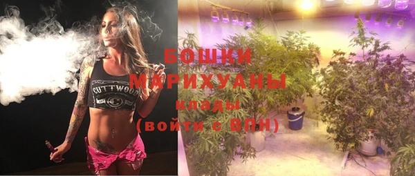 дживик Бронницы