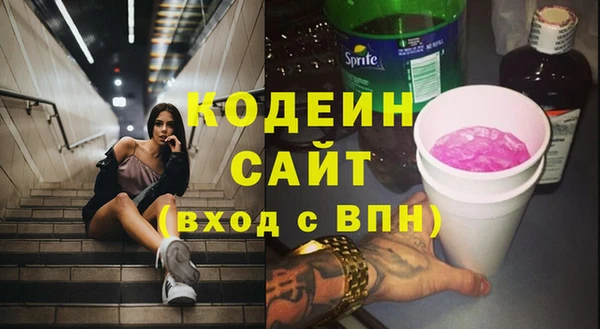 дживик Бронницы
