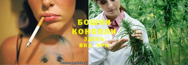 дживик Бронницы