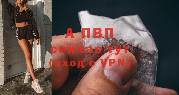 дживик Бронницы