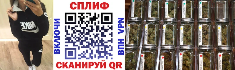 как найти закладки  Циолковский  Канабис тримм 
